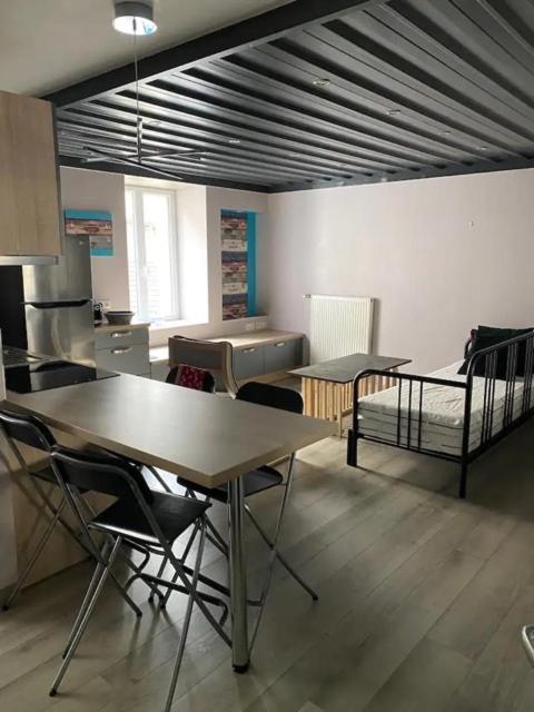 Deux beaux appartements en plein coeur de Dijon Extérieur photo