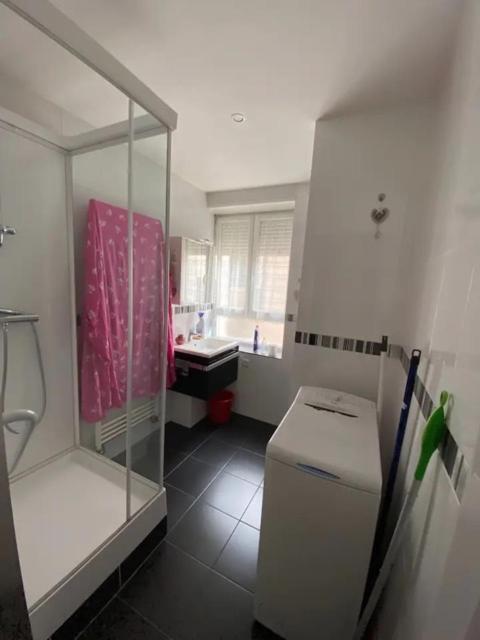Deux beaux appartements en plein coeur de Dijon Extérieur photo